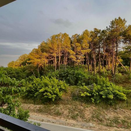 One Bedroom Apartment In G Life Süzebolu Dış mekan fotoğraf